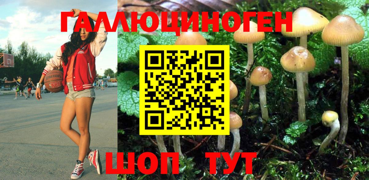 Псилоцибиновые грибы GOLDEN TEACHER  Галлюциногенные грибы Psilocybine cubensis  Всеволожск  Вход с VPN 